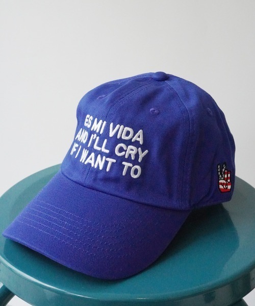 PARKS TOKYO SELECT（パークストウキョウセレクト）の「【WEEK ENDER 】刺繍ロゴ ローCAP（キャップ・メンズ・U/T/P/I/G/B/S/F/E/D/C/N/M/L/K/R/X/Q/O/J/H/A/W/V・FREE）」の8枚目の写真