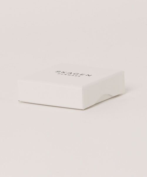 SKAGEN(スカーゲン)の「スカーゲン アクセサリー レディース ピアス SKJ1835040(ピアス(両耳用)・レディース・Silver・FREE)」の6枚目の写真