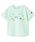 petit mainiveB}Cj́uC̐hイTVciTVc/Jbg\[jvbGh