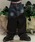 L.H.P�i�G���G�C�`�s�[�j�́uAesir Studios/�A�[�X�B�A�X�^�W�I/SANCTUM CUT OFF PANTS�i�f�j���p���c�j�v�b�u���b�N
