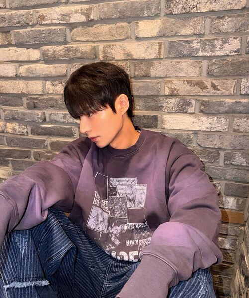 MEA（メア）の「VINTAGE ANIMAL PATCH SWEATSHIRT [PURPLE]（スウェット・レディース・その他・2/3）」の5枚目の写真