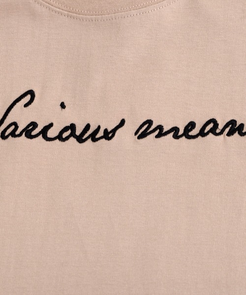 SILVER BULLET（シルバーバレット）の「『BANANA TRIP/バナナトリップ』刺繍ロゴワイドBIG Tシャツ【b】（Tシャツ/カットソー・レディース・ブラック/ホワイト/ベージュ・M/L）」の16枚目の写真