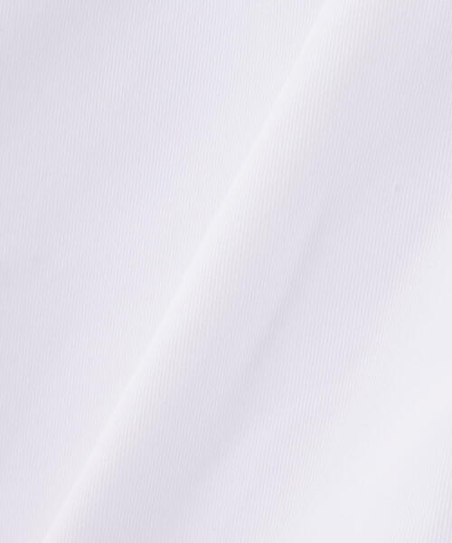 【セール】【直営店限定】TC TWILL SNOW PANTS/ TCツイル スノーパンツ / オーバーパンツ / AVIREX / アヴィレックス（その他パンツ）｜AVIREX（アヴィレックス）