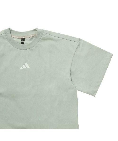 セール】アディダス adidas W LUX CA クロップドTシャツ AP（T