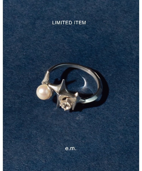 e.m. イーエム メンズ ロゴリング (0501-AR89a) 21号？ e.m.（イーエム） 指輪 リング SILVER925シンプルチェーンリング