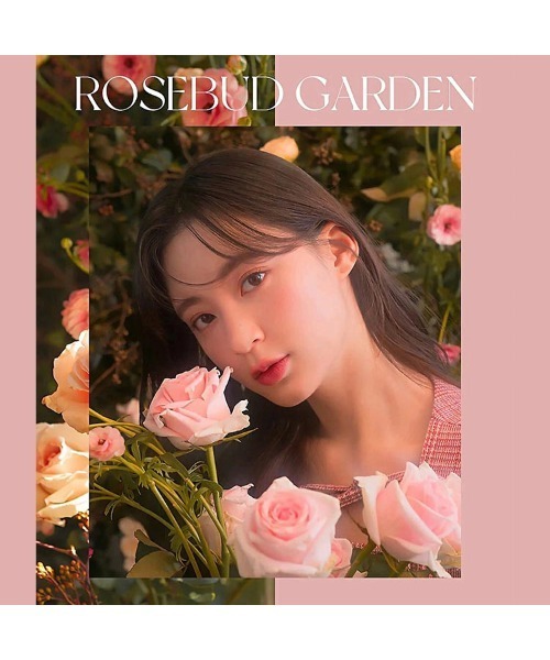 rom&nd（ロムアンド）の「［rom&ndロムアンド］BETTER THAN PALETTE　アイシャドウパレット（アイシャドウ・レディース・その他1/その他2/その他3/その他4/その他6/その他5・FREE）」の14枚目の写真