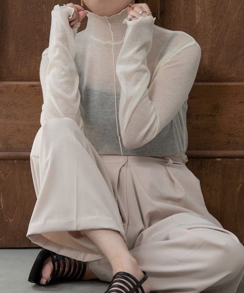 lawgy（ラウジー）の「sheer mellow 2way tops（Tシャツ/カットソー・レディース・ブラック/ブラウン/アイボリー/グレイッシュベージュ・FREE）」の6枚目の写真