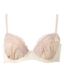 Wing(�E�C���O)�̃u���W���[(�u���W���[)