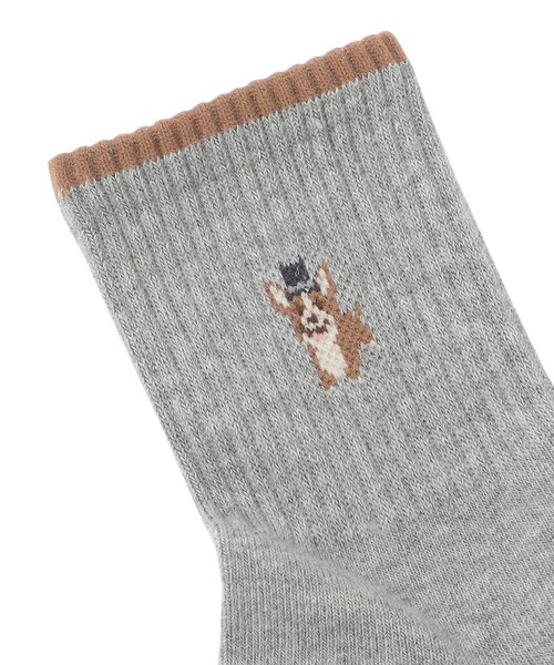 MACKINTOSH PHILOSOPHY(マッキントッシュ フィロソフィー)の「【WEB&一部店舗限定】コーギーワンポイントソックス(ソックス/靴下・レディース・グレー系その他2/ベージュ/オフホワイト・FREE)」の4枚目の写真