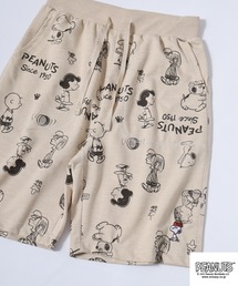 PEANUTS(s[ibc)PEANUTS vg~jуn[tpc(̑pc)