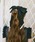 idem�i�C�f���j�́u�y �V�F�ǉ� / 4�F�W�J �zbig ribbon barrette / �r�b�O���{���o���b�^�i�o���b�^/�w�A�N���b�v�j�v�b�u���b�N�n���̑�