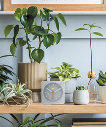 BRAUN（ブラウン）の「BRAUN ALARM CLOCK GRAY BC02XG（置時計）」