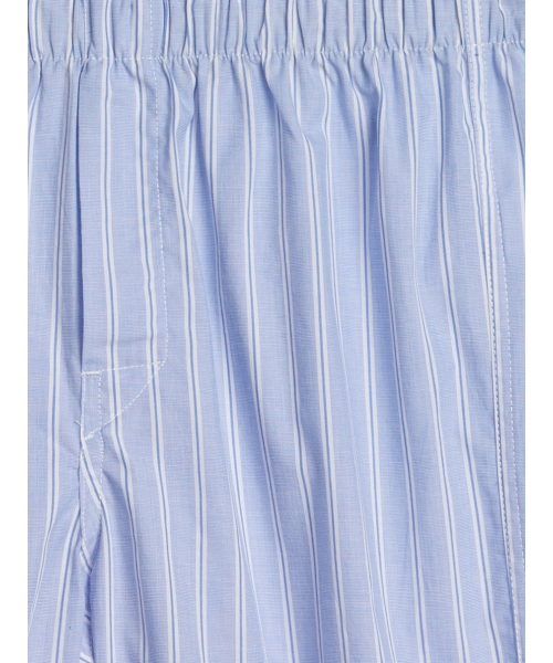 GAP（ギャップ）の「4.5インチ ストライプボクサーパンツ トランクス（トランクス・メンズ・ライトブルー・XS/S/M/L/XL）」の2枚目の写真