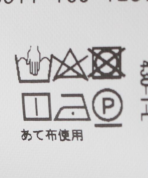 green label relaxing(グリーンレーベルリラクシング)の「チェック スタンド フリル ネック ブラウス(シャツ/ブラウス・レディース・その他1・FREE)」の18枚目の写真