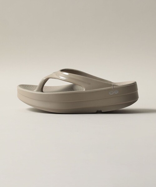 ginka × bogor mr.Sudan mix spore 十二田植裁