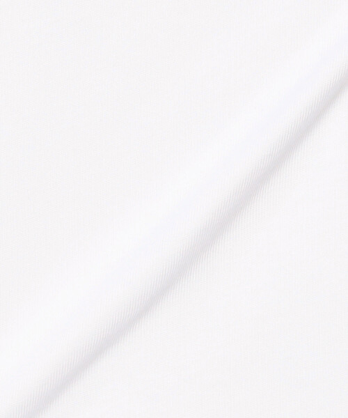 FREAK'S STORE(フリークスストア)の「LACOSTE/ラコステ アウトライン クロック クルーネック Tシャツ/ワンポイントTシャツ(Tシャツ/カットソー・レディース・ネイビー/ブラック/オフホワイト・2/3)」の19枚目の写真