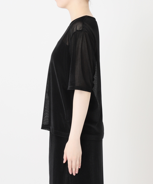 VERMEIL par iena(ヴェルメイユパーイエナ)の「ベロアメッシュプルオーバー(Tシャツ/カットソー・レディース・ブラック/ベージュ系その他・FREE)」の14枚目の写真