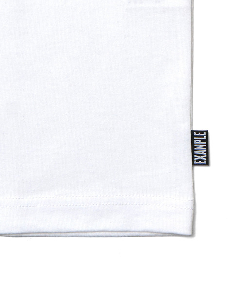 EXAMPLE（エグザンプル）の「EXAMPLE BEAST CLAW TEE（Tシャツ/カットソー・メンズ・ホワイト×グリーン/ホワイト×ブルー・XL/L/XXL）」の9枚目の写真