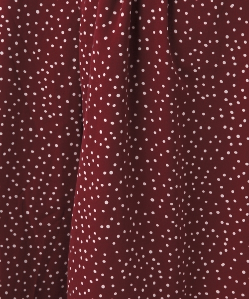 LEPSIM（レプシィム）の「ドットプリントワイドパンツ　789547（その他パンツ・レディース・ブルー系その他/レッド系その他/ブラック系その他・FREE）」の18枚目の写真