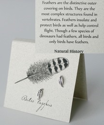 petitcro（プティクロ）の「「ieLS」SV925 シルバー  ナチュラルヒストリーピアス（シルバー）（ピアス（両耳用））」