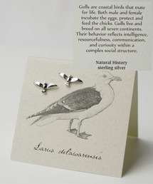 ieLS（イエルズ）の「「ieLS」SV925 シルバー  ナチュラルヒストリーピアス（シルバー）（ピアス（両耳用））」