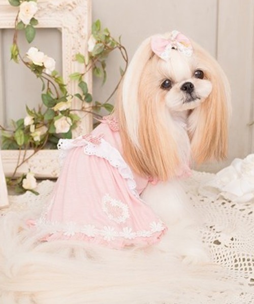 CanNana(キャンナナ)の「CanNana/きゃんナナ/袖フリルロマンティック CanNana(キャンナナ)の「CanNana/きゃんナナ/袖フリルロマンティック