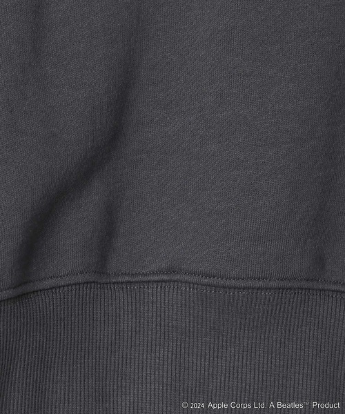 niko and...（ニコアンド）の「【MUSIC】コラボフリルプルオーバー（Tシャツ/カットソー・レディース・パープル/チャコール/ピンク・FREE）」の8枚目の写真