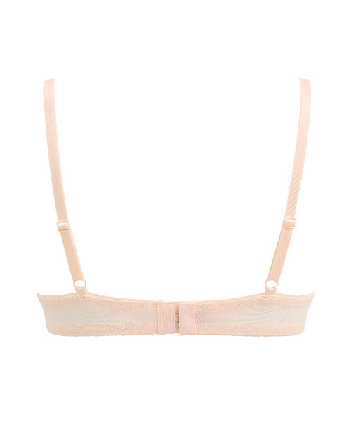 みるめ⭐︎プラカゴ　2点 Amazon | AUTOMAX izumi バイク用 強化イグニッションコイル