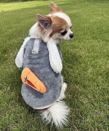 yield（イールド）の「【yield select】ペット服 リードフック付き  うさ耳 ラビット 耳付き パーカ YW10DPK（ペットウェア）」
