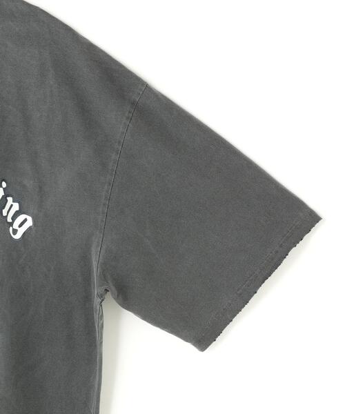 DANKE SCHON(ダンケシェーン)の「Dankeschon/ダンケシェーン/PIGMENT EMBLEM(Tシャツ/カットソー・レディース・ベージュ/ブラック・L/M)」の5枚目の写真