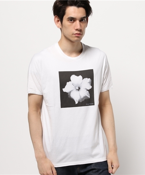 Abiding Aim(アバイディングエイム)の「50/2 SU-PIMA PHOTE TEE/スーピマコットンフォトTシャツ(Tシャツ/カットソー・メンズ・その他2/その他3/その他1・48/44/46)」の3枚目の写真