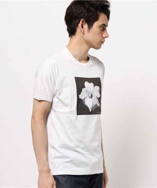 Abiding Aim(アバイディングエイム)の「50/2 SU-PIMA PHOTE TEE/スーピマコットンフォトTシャツ(Tシャツ/カットソー・メンズ・その他2/その他3/その他1・48/44/46)」の4枚目の写真