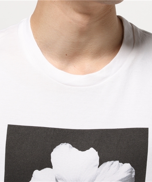 Abiding Aim(アバイディングエイム)の「50/2 SU-PIMA PHOTE TEE/スーピマコットンフォトTシャツ(Tシャツ/カットソー・メンズ・その他2/その他3/その他1・48/44/46)」の6枚目の写真