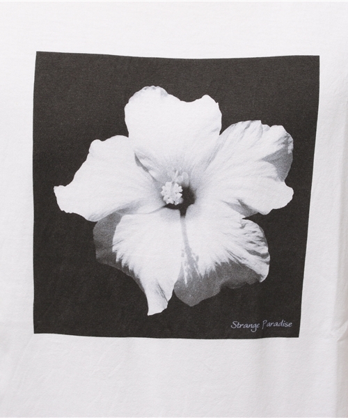 Abiding Aim(アバイディングエイム)の「50/2 SU-PIMA PHOTE TEE/スーピマコットンフォトTシャツ(Tシャツ/カットソー・メンズ・その他2/その他3/その他1・48/44/46)」の8枚目の写真