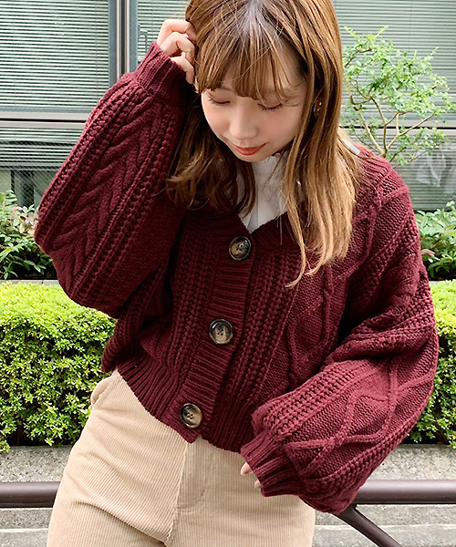 apres jour（アプレジュール）の「レースプリーツエリインナー【ZOZOTOWN限定アイテム】NEW（シャツ/ブラウス・レディース・オフホワイト/クリーム・フリー）」の15枚目の写真