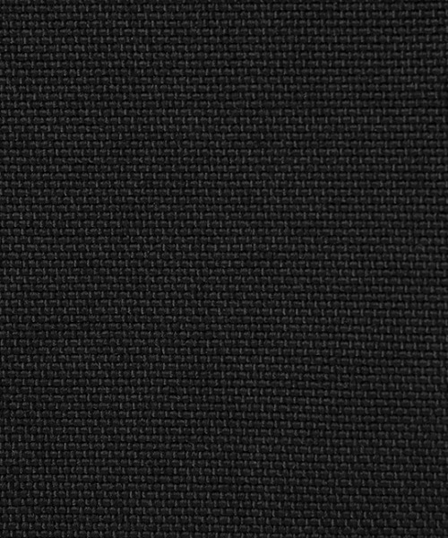 Manhattan Portage（マンハッタンポーテージ）の「Alleycat Waist Bag Large（ボディバッグ/ウエストポーチ・メンズ・ブラック・SMALL）」の5枚目の写真