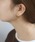 ANEMONEiAllj́u^t[vCOiCOjvbS[h