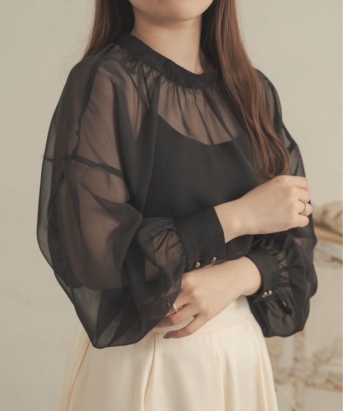 Ambre Neige（アンブルネージュ）の「2WAYシアーブラウス／【WEB/EC限定商品】（シャツ/ブラウス・レディース・ブラック/アイボリー/ピンク/モカ/ベージュ・FREE）」の2枚目の写真