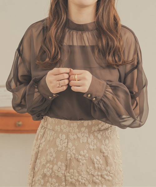 Ambre Neige（アンブルネージュ）の「2WAYシアーブラウス／【WEB/EC限定商品】（シャツ/ブラウス・レディース・ブラック/アイボリー/ピンク/モカ/ベージュ・FREE）」の14枚目の写真