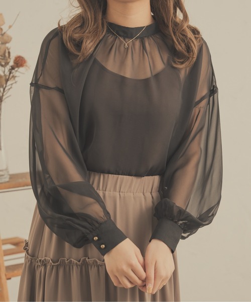 Ambre Neige（アンブルネージュ）の「2WAYシアーブラウス／【WEB/EC限定商品】（シャツ/ブラウス・レディース・ブラック/アイボリー/ピンク/モカ/ベージュ・FREE）」の18枚目の写真