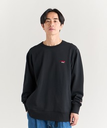 ECO HYBRID MINI BOX LOGO EMBROIDERY SWEATSHIRT/エコハイブリッド ミニボックスロゴ エンブロイダリー スウェットシャツ