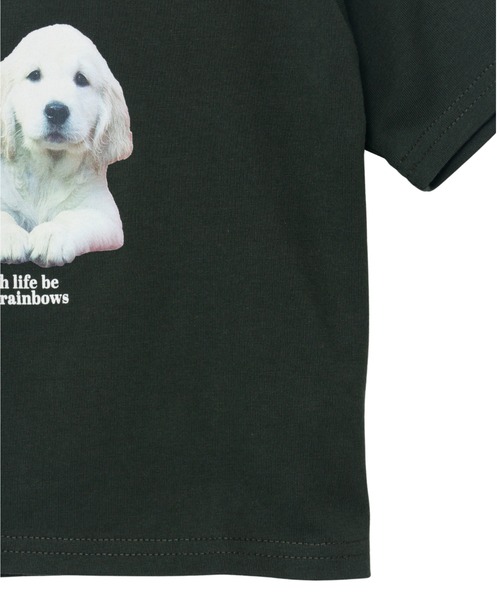 Ada.（エイダ）の「ドッグ プリント クロップド 半袖Tシャツ（Tシャツ/カットソー・レディース・グリーン/オートミール・FREE）」の15枚目の写真