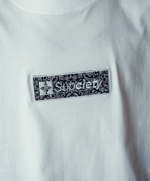 Subciety(サブサエティ)の「Paisley box tee(Tシャツ/カットソー・メンズ・ブラック/アッシュ/ホワイト×グリーン/ホワイト・X-LARGE/LARGE/MEDIUM/SMALL/XX-LARGE)」の16枚目の写真