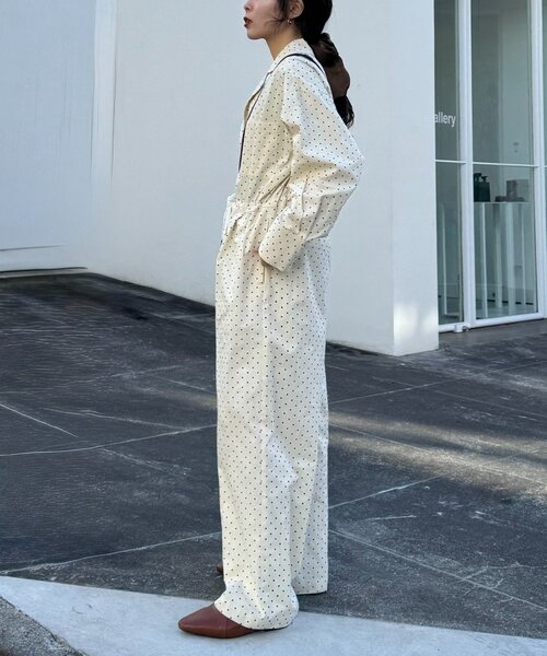 WILLOW(ウィロー)の「【willow】ドットストライプオールインワン(サロペット/オーバーオール・レディース・サックスブルー/オフホワイト・ONE SIZE)」の9枚目の写真