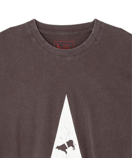 DANKE SCHON(ダンケシェーン)の「DankeSchon/ダンケシェーン/OVERDYE CATTLEMUTILATION(Tシャツ/カットソー・レディース・ブラック・L/M)」の14枚目の写真