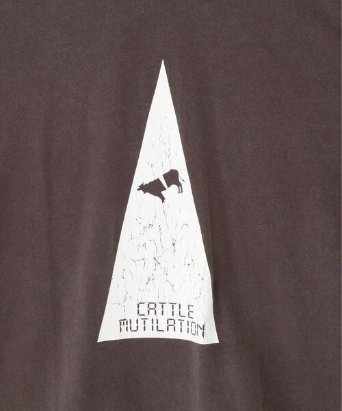 DANKE SCHON(ダンケシェーン)の「DankeSchon/ダンケシェーン/OVERDYE CATTLEMUTILATION(Tシャツ/カットソー・レディース・ブラック・L/M)」の2枚目の写真