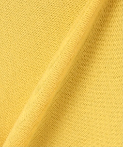 JOURNAL STANDARD LUXE（ジャーナルスタンダード　ラックス）の「クラシックテンジク クルーT（Tシャツ/カットソー・レディース・イエロー/ホワイト/ベージュ・SMALL/MEDIUM）」の14枚目の写真