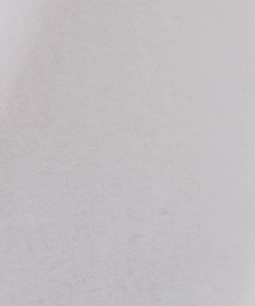 BAD BOY（バッドボーイ）の「【BADBOY / バッドボーイ】USA ロゴ パロディ Tシャツ（Tシャツ/カットソー・メンズ・ホワイト/ダークグリーン/ブラック・M/L）」の12枚目の写真