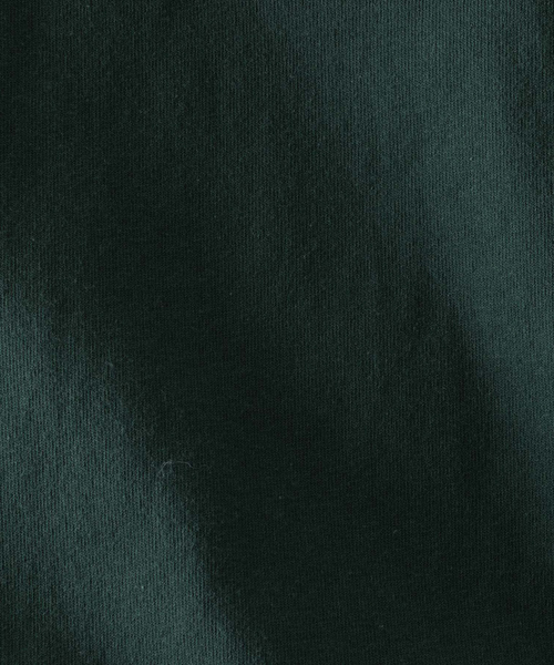 BAD BOY（バッドボーイ）の「【BADBOY / バッドボーイ】USA ロゴ パロディ Tシャツ（Tシャツ/カットソー・メンズ・ホワイト/ダークグリーン/ブラック・M/L）」の13枚目の写真