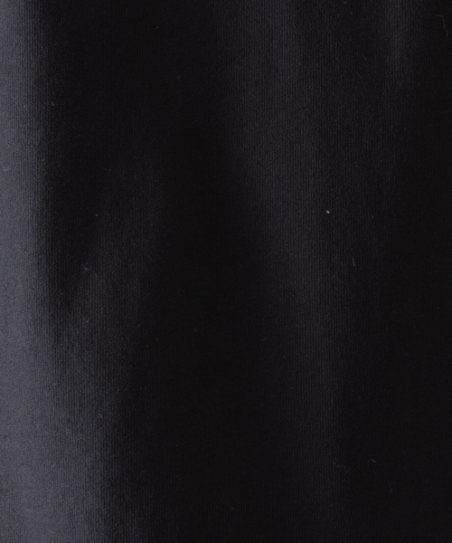 BAD BOY（バッドボーイ）の「【BADBOY / バッドボーイ】USA ロゴ パロディ Tシャツ（Tシャツ/カットソー・メンズ・ホワイト/ダークグリーン/ブラック・M/L）」の14枚目の写真